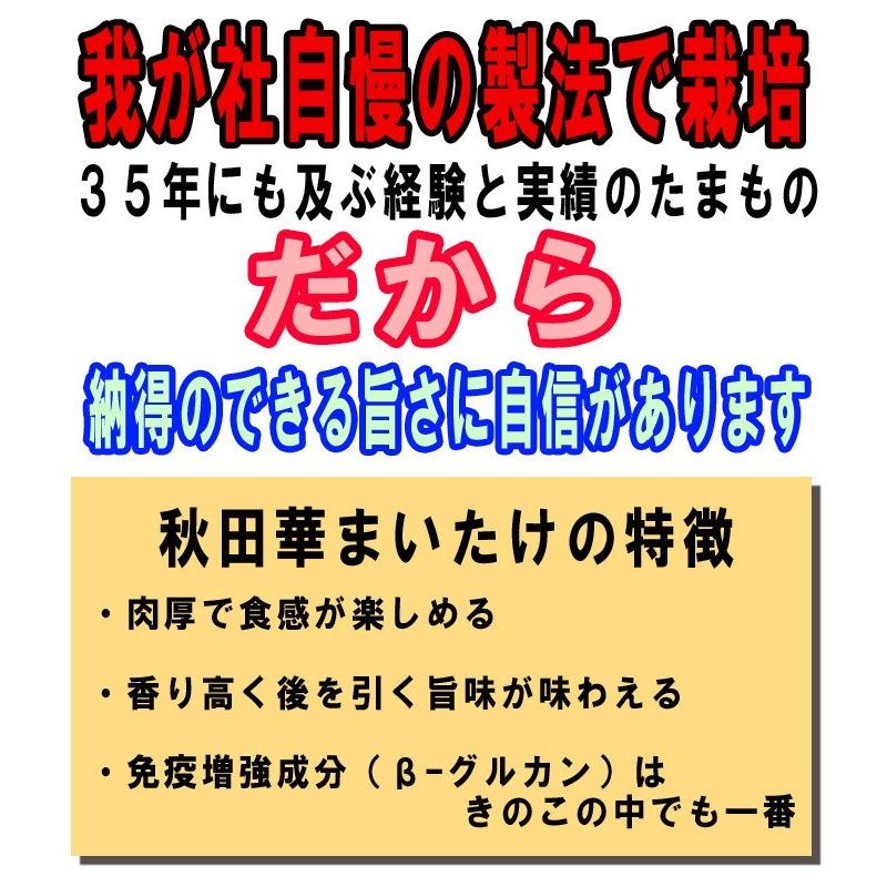 秋田華まいたけ　秋田県産　生まいたけ　1カブ