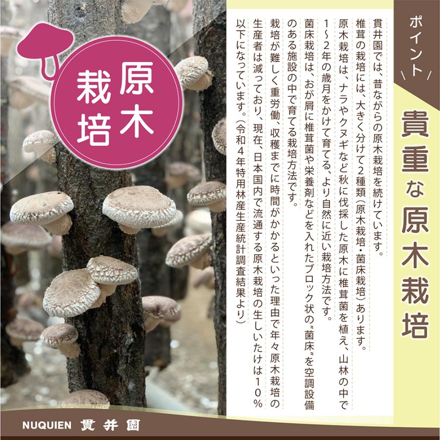 生産者直送！ 原木生しいたけ サイズおまかせ　1Kg　　お買得　貫井園 の 原木椎茸　原木しいたけ　原木シイタケ