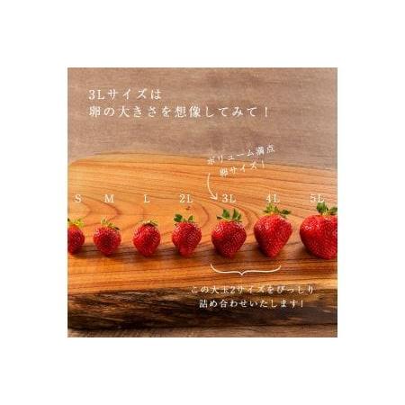 ふるさと納税 ★身近な人間関係のお祝いに★「完熟あまおう」3L〜4Lミックス詰め合わせ900g入り【あまおう 食品 あまお.. 福岡県大川市