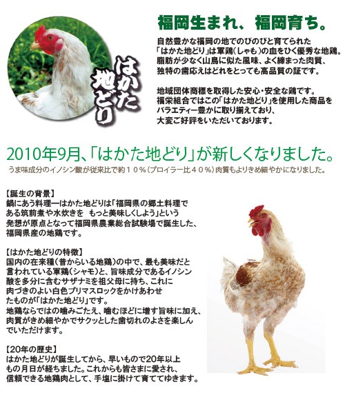 はかた 地どり 美人 鍋セット 福岡県 九州 あったか 冬 定番