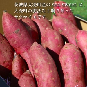 大洗産 さつまいも 紅はるか 5kg （15本前後） Sea Sweet 長期熟成 茨城県産 サツマイモ 土付き 生芋 芋 さつま芋 薩摩芋 甘藷 べにはるか_CF001