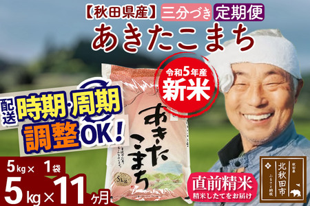 《定期便11ヶ月》＜新米＞秋田県産 あきたこまち 5kg(5kg小分け袋) 令和5年産 配送時期選べる 隔月お届けOK お米 おおもり