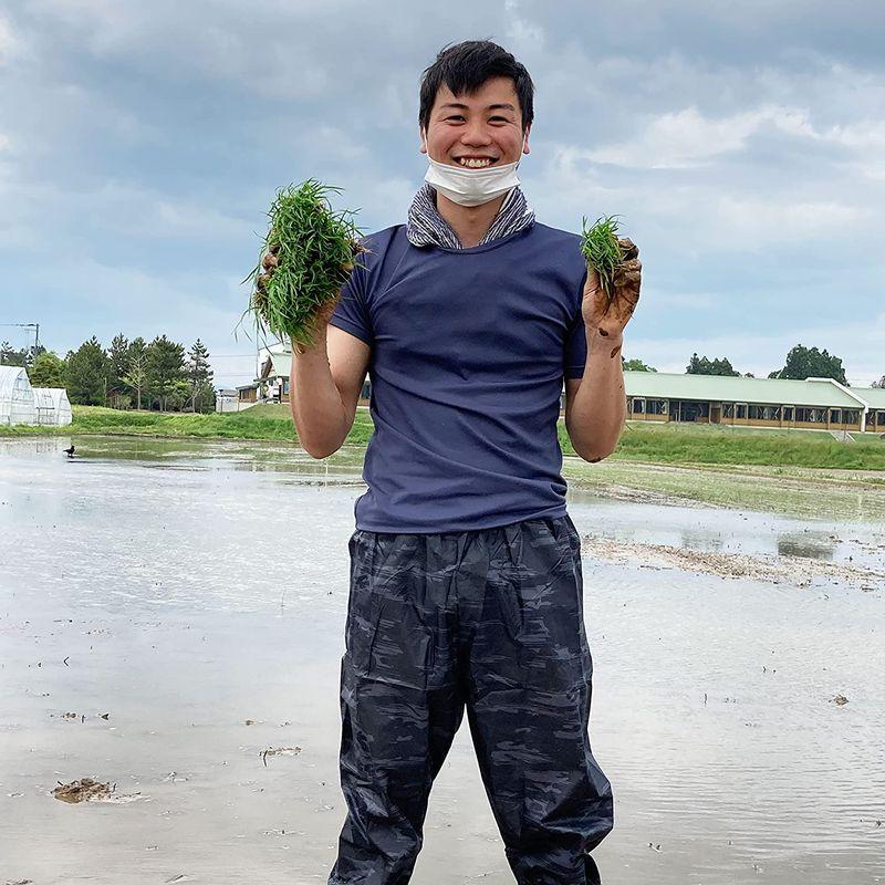 水菜土農園精米新米 北海道県産 ななつぼし 30kg (5kg×6袋) 令和4年産 古代米お試し袋付き