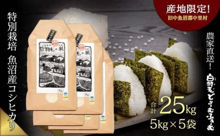 ≪令和5年産≫　農家直送！魚沼産コシヒカリ特別栽培「白羽毛の米」精米 (5kg×5袋) 25kg