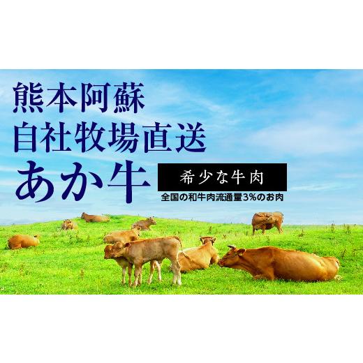 ふるさと納税 熊本県 多良木町 あか牛 バラ 切り落とし 1kg （500g×2） 【 熊本県産 あか牛 牛肉 バラ 大容量 肉 熊本産 国産牛 和牛 赤身 ヘルシー 多良木町…