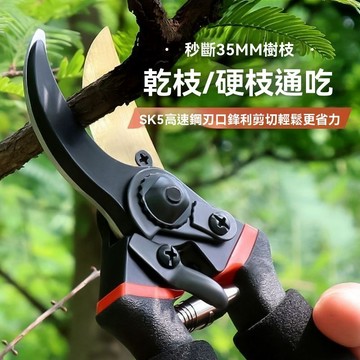 🔥臺灣出貨-熱賣中🔥修枝剪 果樹剪 高枝剪 園藝剪刀 粗枝剪 花枝剪 粗枝剪 樹枝剪 強力園林修枝剪