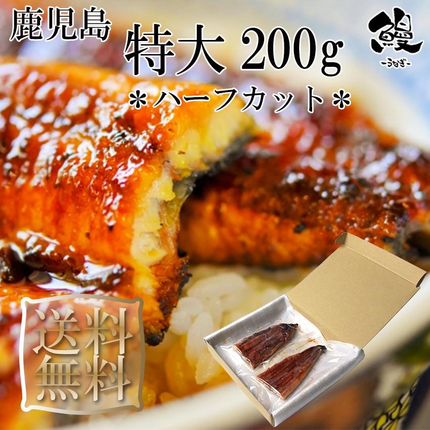 うなぎ蒲焼 ハーフカット 特大 200g 御歳暮 ギフト プレゼント 送料無料 鹿児島産 鰻