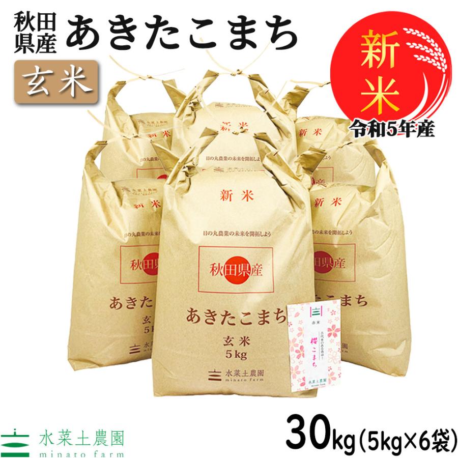 新米 お米 米 30kg （5kg×6袋） 玄米 あきたこまち 令和5年産 秋田県産 農家直送 古代米お試し袋付き