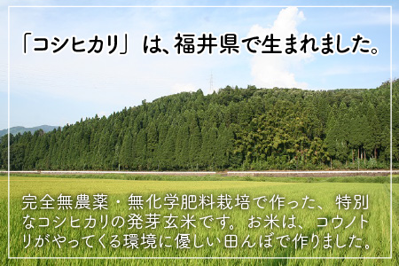 無農薬コシヒカリ「特選」 特別栽培米使用 2kg [A-2919]