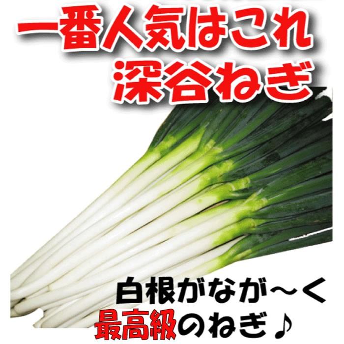 深谷ねぎ むきねぎ Mサイズ 55本