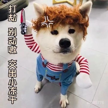 狗狗衣服搞怪拿刀緻命娃娃狗狗搞怪變身裝貓咪寵物衣服小中型犬