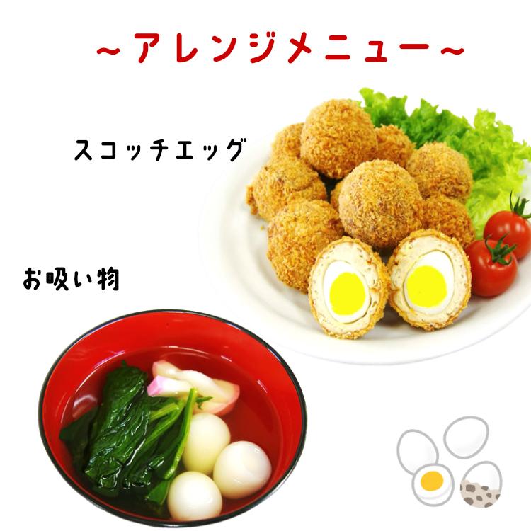 送料無料  味付けうずら卵 （20個入) 5袋セット 国産うずらの卵使用 カネセイ食品 お酒 おつまみ