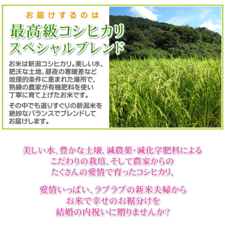 結婚内祝い 人気 無洗米 棚田米 新潟産コシヒカリ 5kg メッセージカード付き 両親 祝い 結婚 お返し 記念品 プレゼント 贈答品