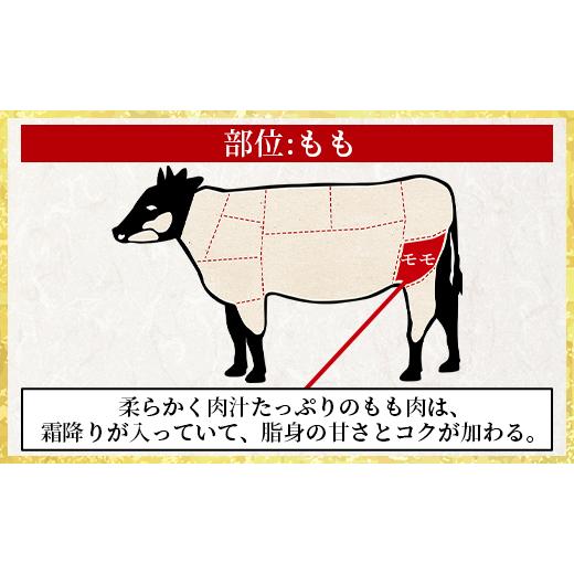 ふるさと納税 高知県 香南市 土佐和牛ももスライス500g タレなし Xhk-0079