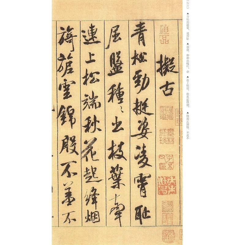 米フツ蜀素帖　高校書法専門碑帖精選系列　中国語書道 米#33470;蜀素帖　高校#20070;法#19987;#19994;碑帖精#36873;系列