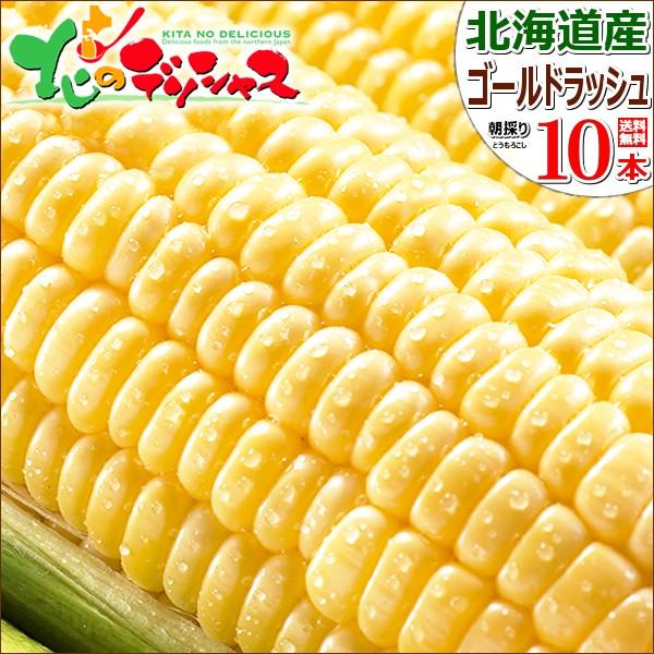 北海道産 とうもろこし ゴールドラッシュ 10本入り(冷蔵便) 朝採り トウモロコシ とうきび スイートコーン 北海道 グルメ 送料無料 お取り寄せ