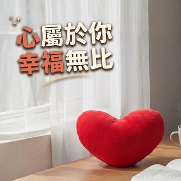 [窩在家] 抱緊幸福愛心抱枕 🎂 生日禮物｜情人節｜抱枕｜娃娃｜療癒｜情人｜獅子座｜七夕禮物
