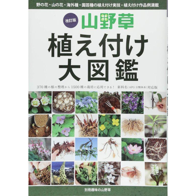 山野草植え付け大図鑑?野の花・山の花・海外種・園芸種の植え付け実技・植え (別冊趣味の山野草)