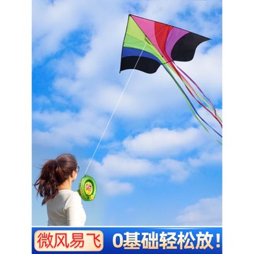 風箏兒童微風易飛大人專用網紅2023新款風箏成人大人高端風箏批發