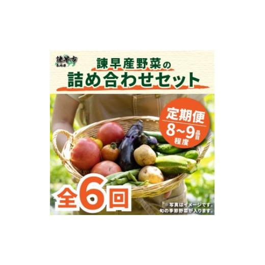 ふるさと納税 長崎県 諫早市 『定期便』_諫早産野菜の詰め合わせ(8〜9品目程度)_全6回