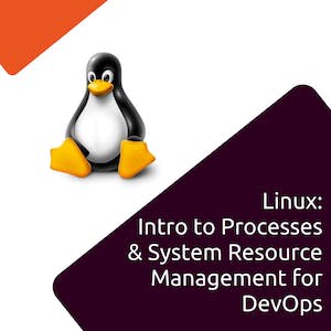 Linux: Processes & System Resource Management for DevOps