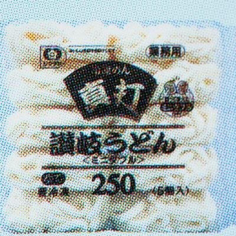 シマダヤ 「真打」 讃岐うどん(冷凍) 250g×20袋×1箱