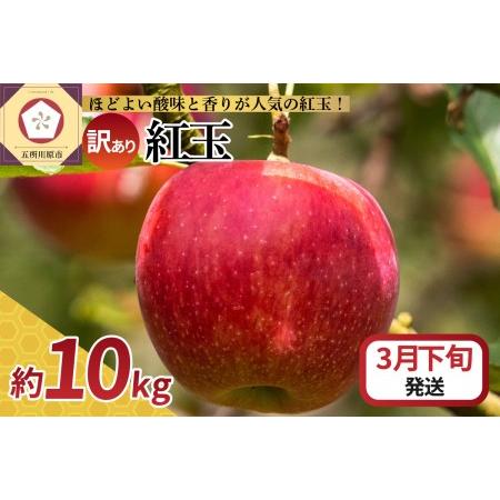 ふるさと納税  りんご 10kg 紅玉 アップルパイ に最適 青森 不揃い 青森県五所川原市