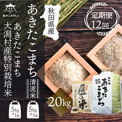 ふるさと納税 秋田市 秋田県産あきたこまち15kg・大潟村ふると米5kg食べ比べセット全12回