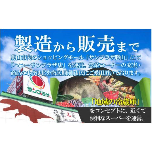 ふるさと納税 福井県 勝山市 福井名物 ソースカツ丼セット9人前 [A-037020]