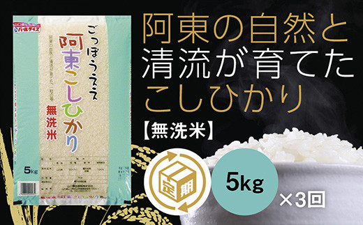 D-163 阿東こしひかり（無洗米5kg）3か月定期便