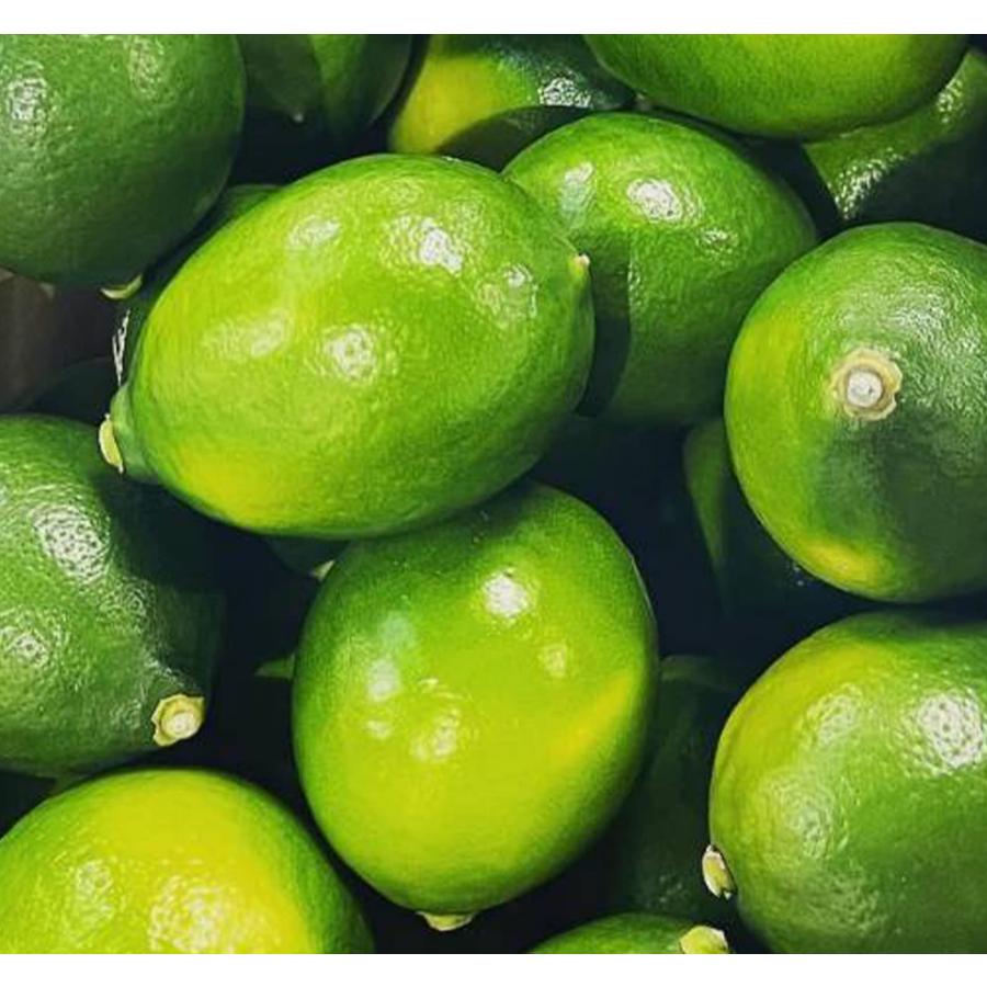 レモン3kg わけあり 国産レモン ノーワックス 低農薬 省農薬 和歌山産