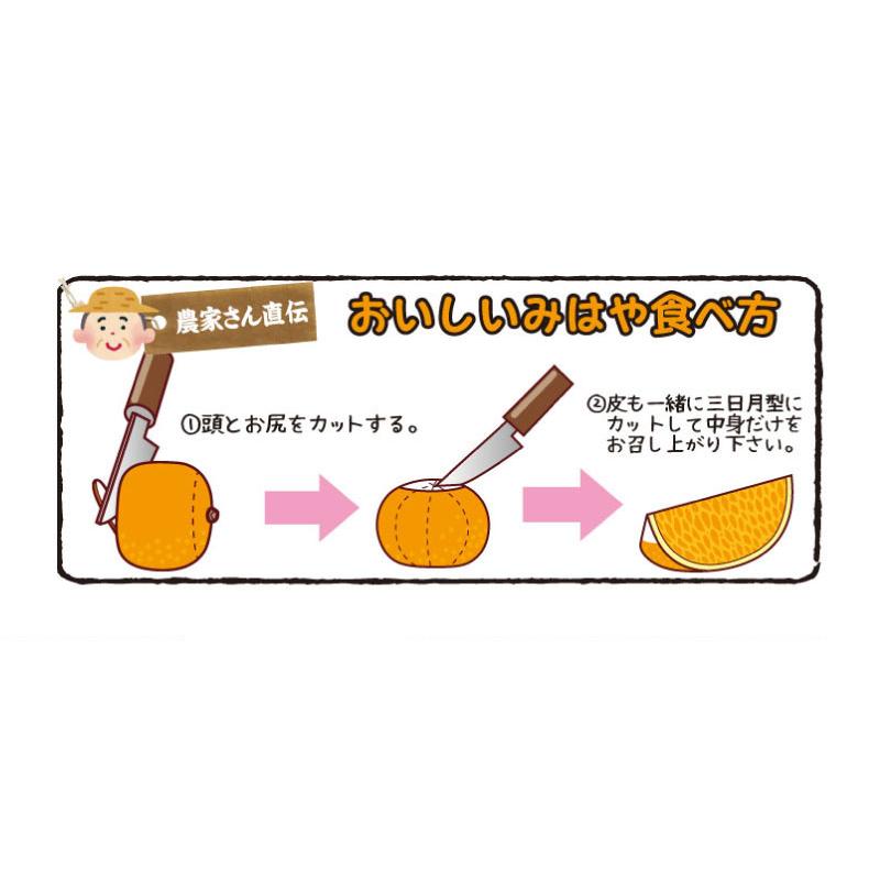 冬ギフト 幸福の みはや ミカン 3kg 送料無料 ＜11月下旬出荷予定＞ 特選  熊本産 希少 新品種 甘い 蜜柑 農家直送