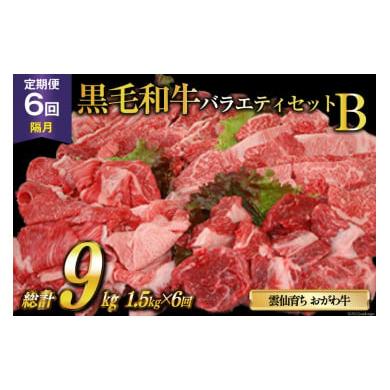 ふるさと納税 長崎県 雲仙市 定期便 6回 牛肉 雲仙育ち おがわ牛 バラエティーセットB 総計9kg(1.5kg×6回) 黒毛和牛 冷凍   焼肉おがわ   長崎県 雲仙市