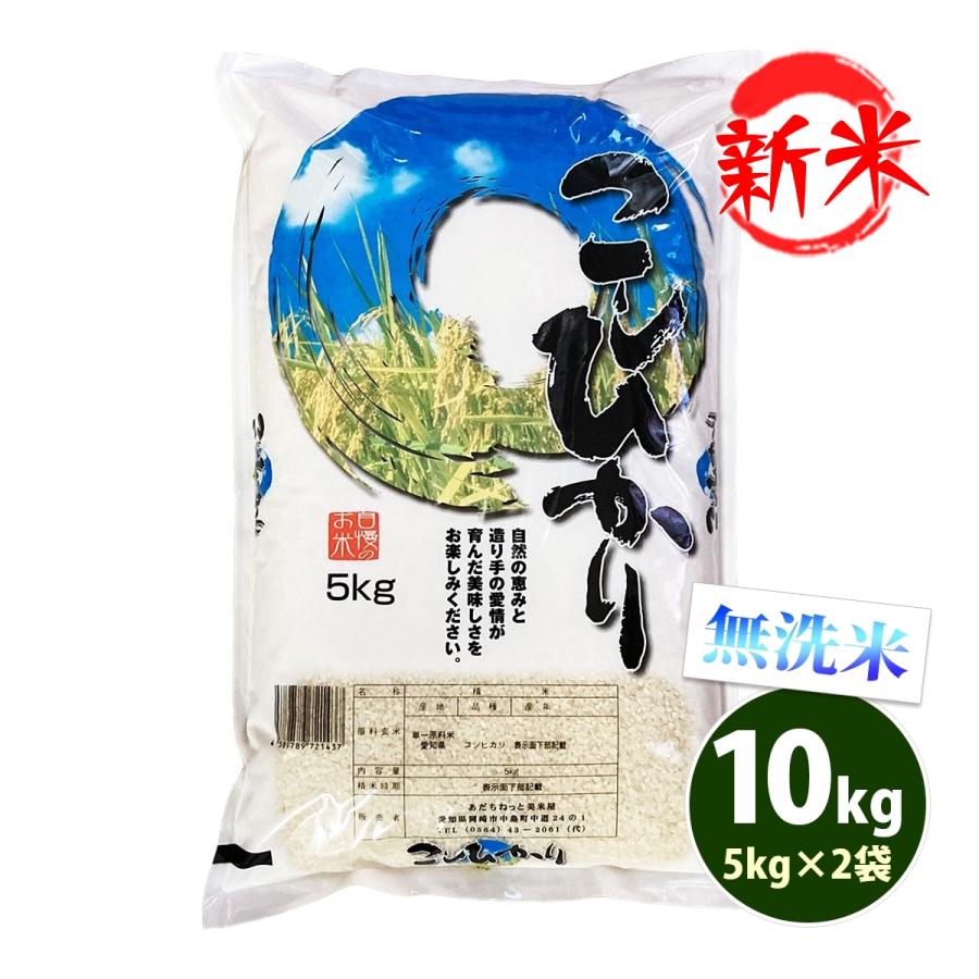 新米 無洗米 10kg 送料無料 コシヒカリ 5kg×2袋 愛知県産 こしひかり 令和5年産 米 お米 あす着く食品 北海道・沖縄は追加送料