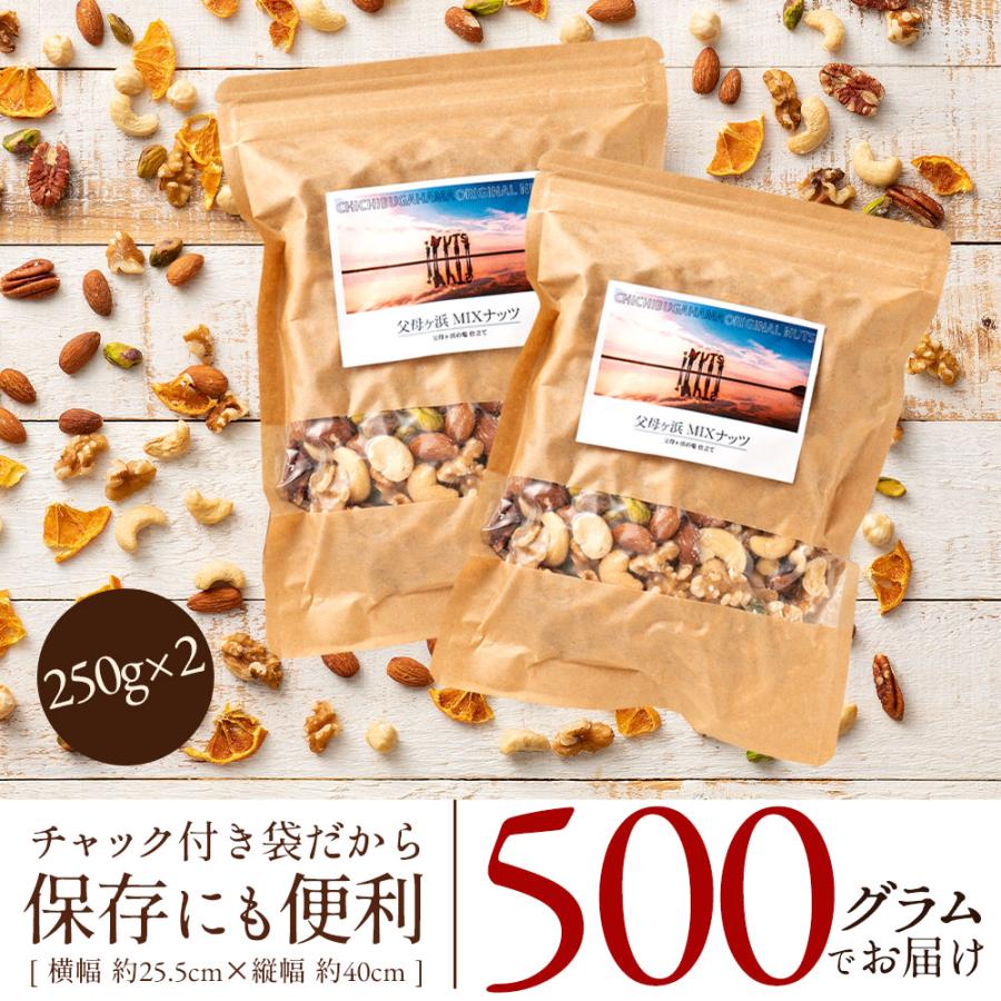 ナッツ ミックスナッツ ドライみかん入り 素焼き 父母ヶ浜ミックスナッツ 500g(250g×２袋) 送料無料 素焼きミックスナッツ ドライフルーツ