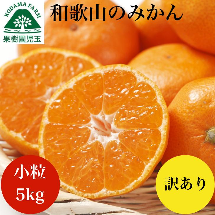 みかん 訳あり 小玉 5kg 送料無料 和歌山 ご自宅用 箱買い