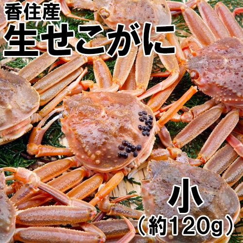 香住産・生せこがに(小)(約120g)(セコガニ 親がに 親ガニ せいこがに セイコガニ こっぺがに コッペガニ 香箱ガニ 香箱がに)