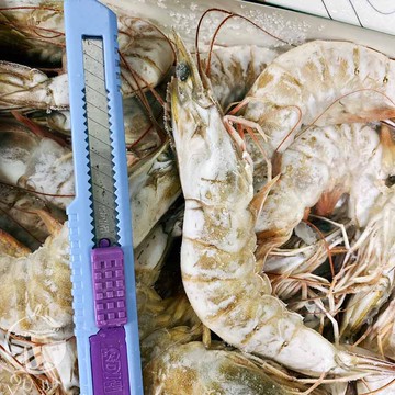 26/30活凍海白蝦600g/盒每盒約18-25隻【歐嘉水產】餐廳供應 批發 團購 露營 烤肉