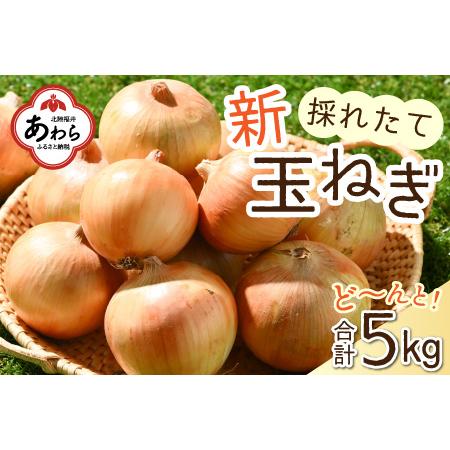 ふるさと納税 2024年6月発送  採れたて 新玉ねぎ 5kg（サイズ S M L ミックス）田んぼで育てた甘くて柔らか自慢の玉ねぎ！／ 常備.. 福井県あわら市