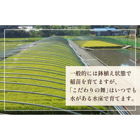 ふるさと納税 令和5年産 富山県産 コシヒカリ こだわりの舞 10kg 富山県 氷見市 コシヒカリ 令和5年度 こしひかり 富山県氷見市