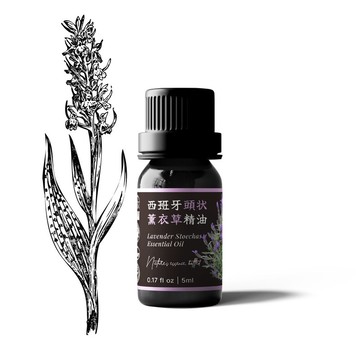 【卡佛香】西班牙頭狀薰衣草精油