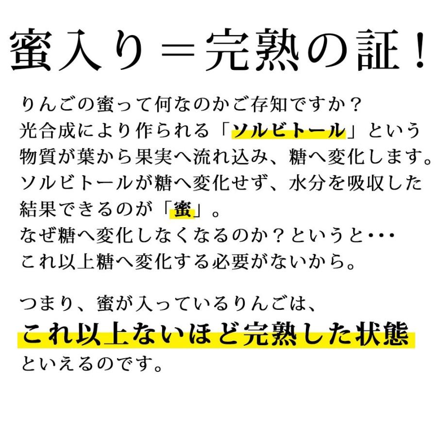 フルーツ りんご 3kg 約12玉 ふじりんご お徳用 12月発送予定 山形県産 送料無料 蜜入り