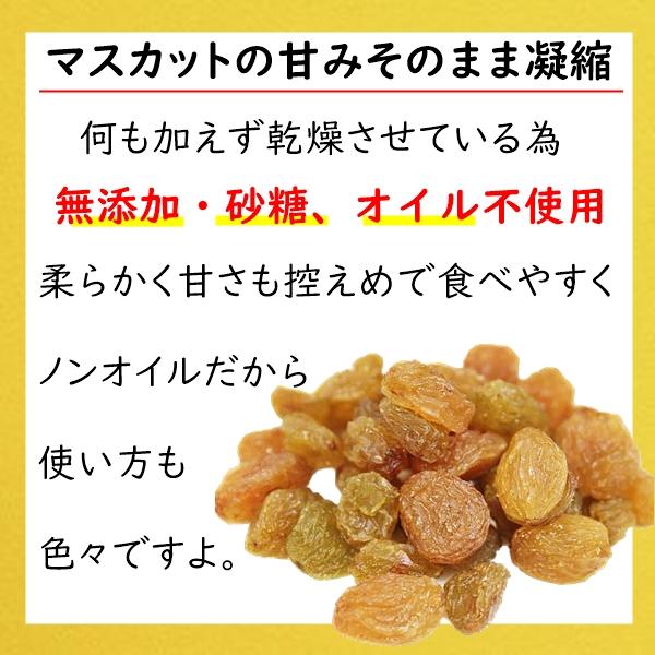 マスカットレーズン ぴったりサイズ 500g 無添加・砂糖,オイル不使用 オーストラリア産サンマスカット使用 ネコポス便発送