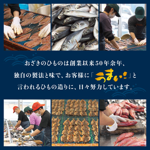 おざきのひもの 詰め合わせセット＜旬の魚をお届け！＞（Aセット） お取り寄せ グルメ ご当地 ご当地グルメ 食品 お土産 特産品 ひもの 干物 干物セット イカ 一夜干し 