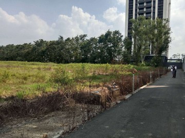 關新路旁2分農地【虎尾寮裕農C177】｜台南市新化區頂山腳段