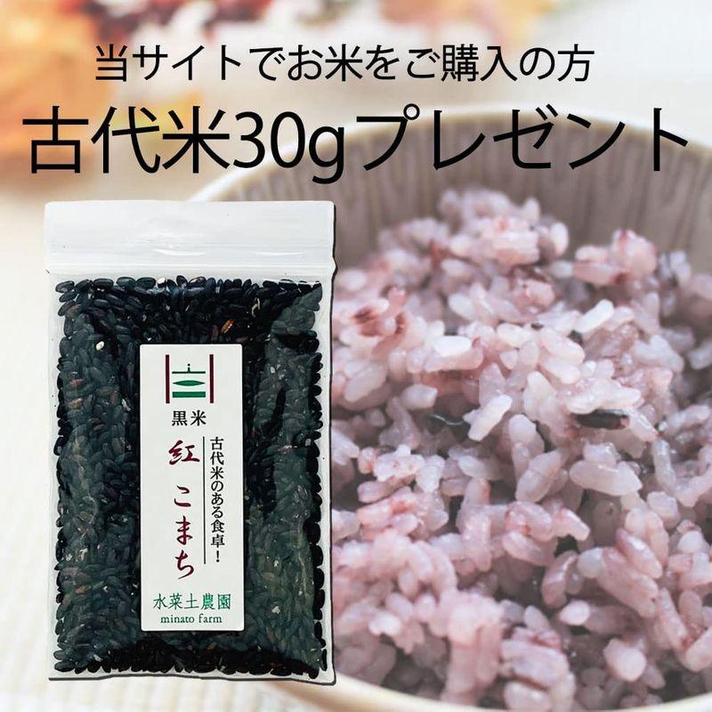 水菜土農園精米新米 北海道県産 ななつぼし 15kg (5kg×3袋) 令和4年産 古代米お試し袋付き