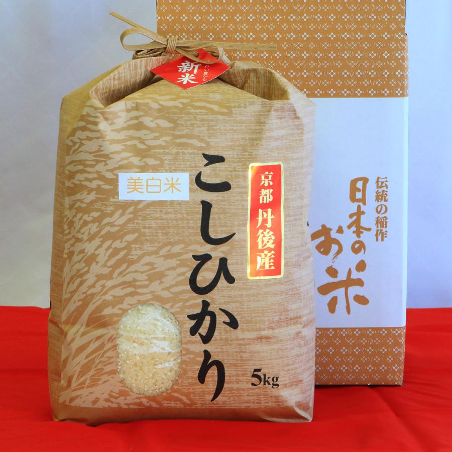 新米！丹後コシヒカリ1等5Kg　美白精米