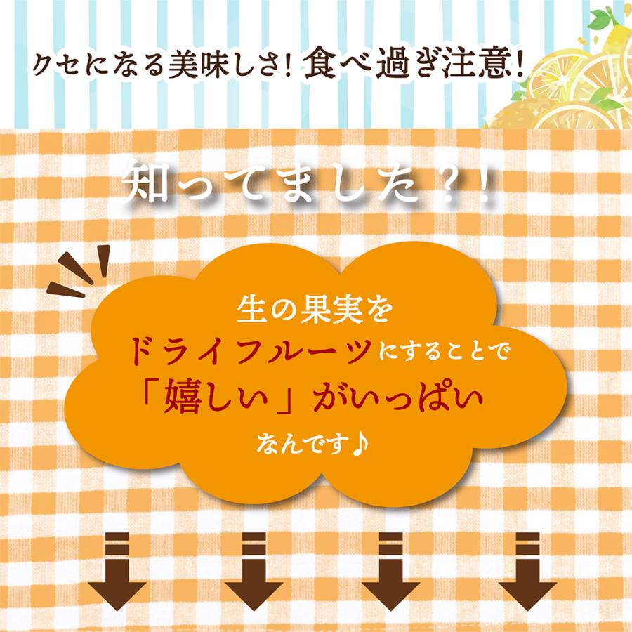 ドライフルーツ 愛媛県産 糖漬け ブラッドオレンジ 100g 送料無料 国産 ドライオレンジ お試し