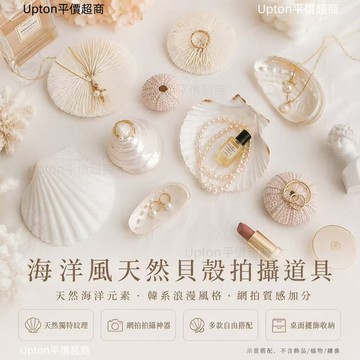海洋風天然貝殼系列 拍攝道具 網拍道具 ins 拍照道具 攝影道具 擺件 道具 拍照裝飾