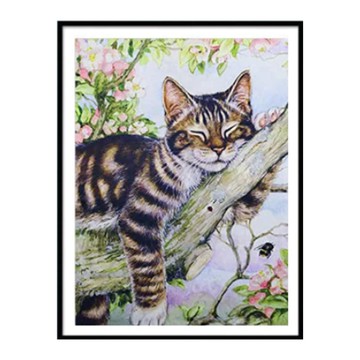 創彩 5D鑽石畫 40x30cm  小懶貓 黑色  1組